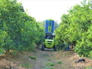 Estabilizador de Carga para carretillas elevadoras