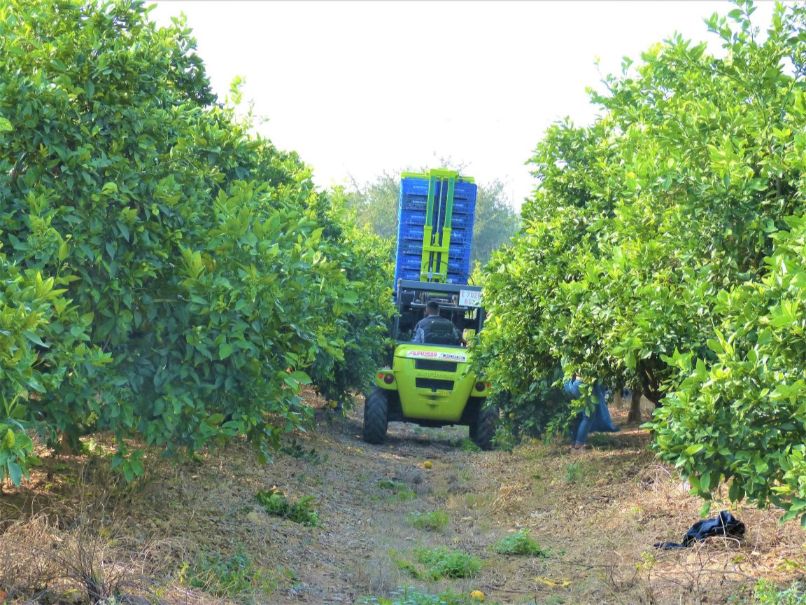 Estabilizador de Carga para carretillas elevadoras