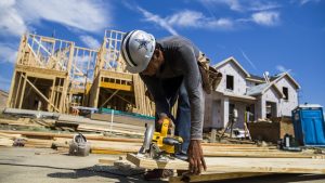 moho en materiales de construcción